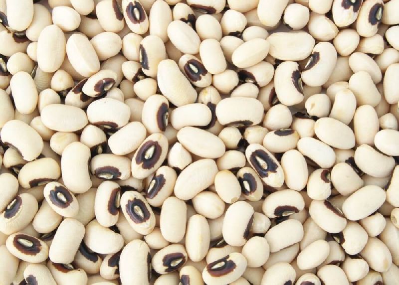Organic Black Eyed Beans, for Cooking, Certification : FSSAI Certified