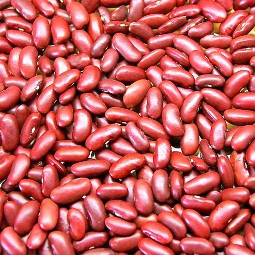 Organic Red Kidney Beans, for Cooking
