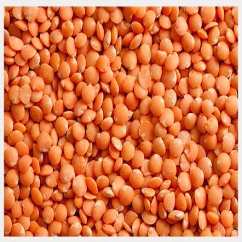 Organic Red Lentils, for Cooking, Certification : FSSAI