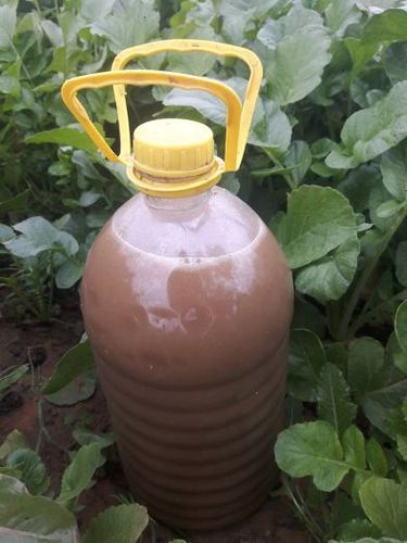 Organic Liquid Jivamrut