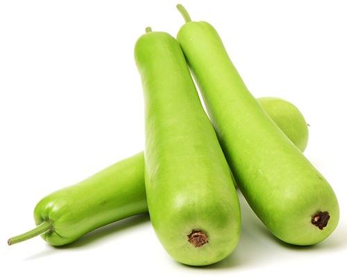 Organic Bottle Gourd