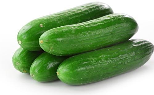 Organic Cucumber, for Salad, Color : Green