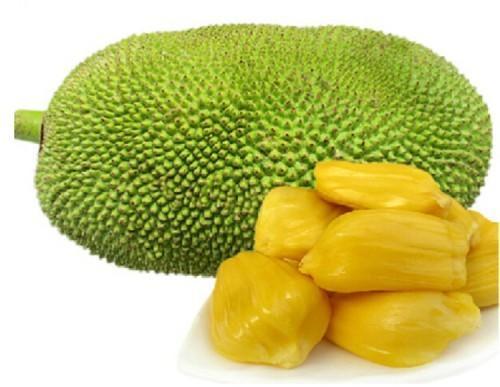 Organic Jackfruit, for Cooking, Color : Green