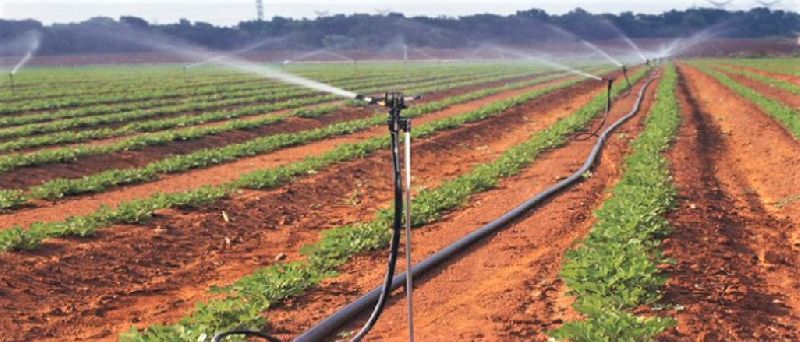 Plastic Sprinkler Irrigation System, for Horticulture Row Crops, Feature : Multiple Discharge Rates