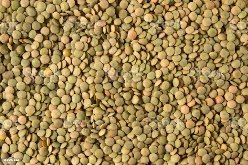 Green Lentils