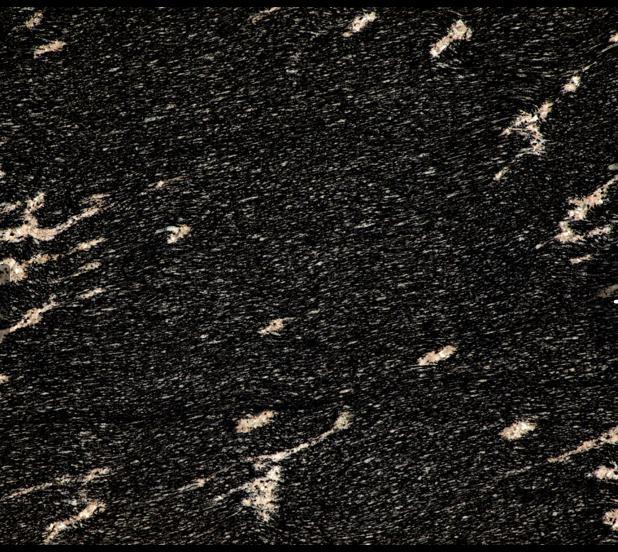 Doted Polished Fish Black Granite Slabs, Size : 120x240cm, 150x240cm, 260x180cm