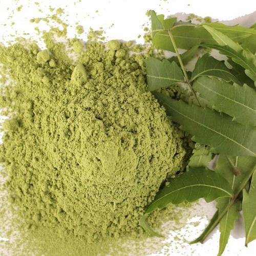 Natural Neem Powder, for Ayurvedic Medicine, Cosmetic Products, Herbal Medicines, Color : Green