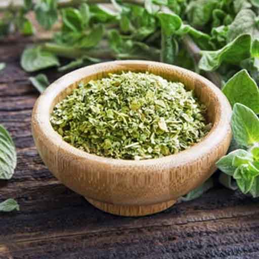 Organic Oregano Herb, Feature Calcium Nutrients, Color Green at Rs