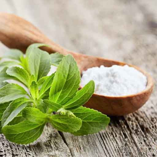 Stevia Herb Diaz Herb, Jaipur, Rajasthan