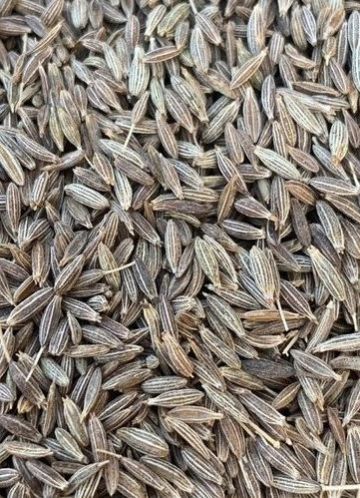 Cumin Seeds, Packaging Size : 30 Kg