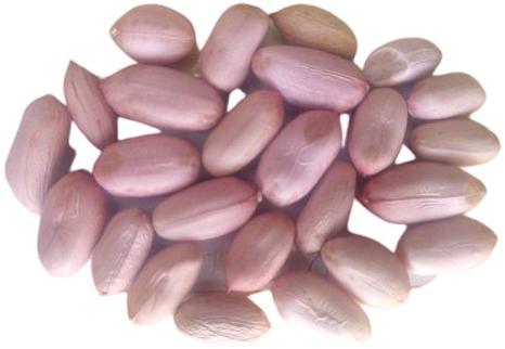 organic red skin peanuts