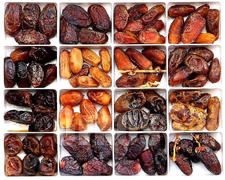 Fresh And Dried Dates