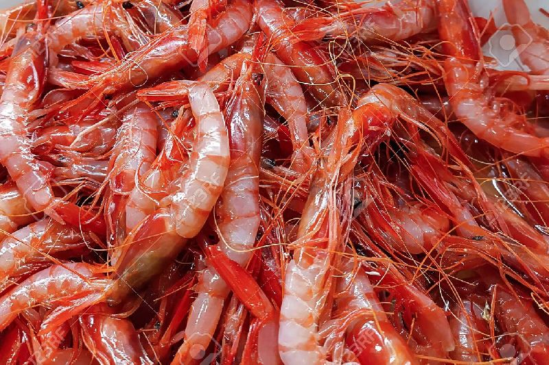 Red Shrimps