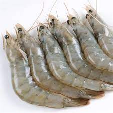 Vannemei Shrimps, for Cooking, Food, Human Consumption, Making Medicine, Making Oil, Packaging Type : Box