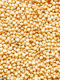 Natural Sorghum Seeds, for Cooking, Feature : Best Quality