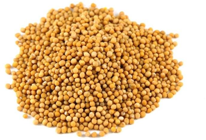 Yellow mustard seeds, for Cooking, Packaging Type : Plastic Pouch