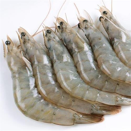Chopped Frozen Vannamei Prawn, Packaging Type : Box, Can (Tinned), Sachet, Vaccum Packed