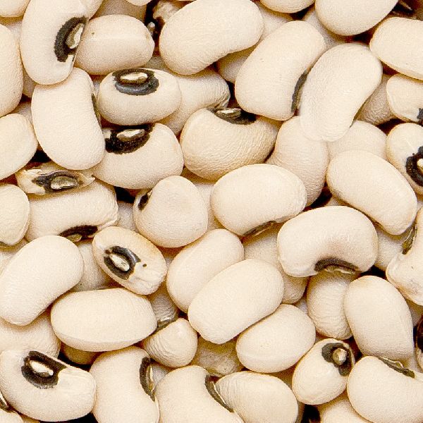 Organic Black Eyed Peas, Packaging Type : Jute Bags, Plastic Packets