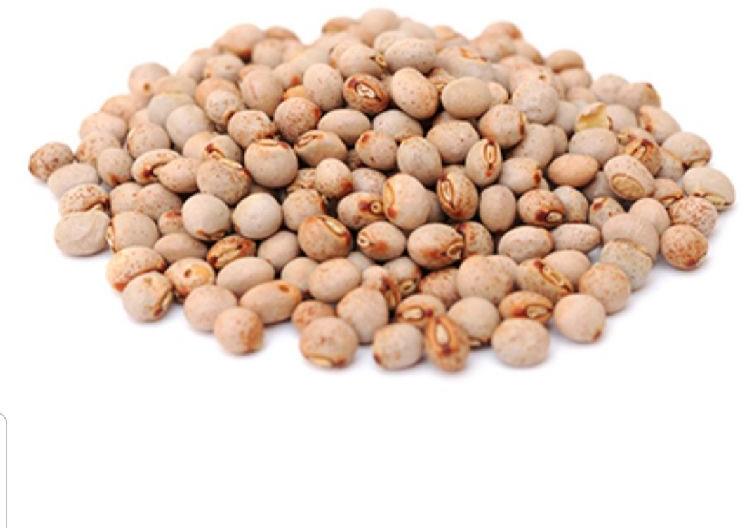 Pigeon Peas