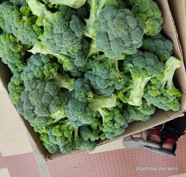 Natural Fresh Broccoli, for Cooking, Feature : Completer Freshness, Healthy To Eat, Non Harmful, Pure Hygienic