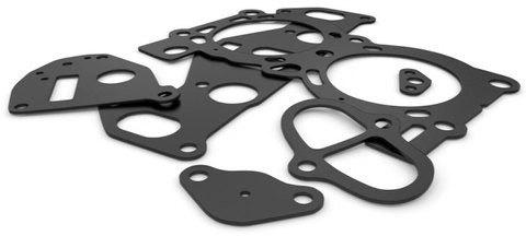 Viton Rubber Gasket