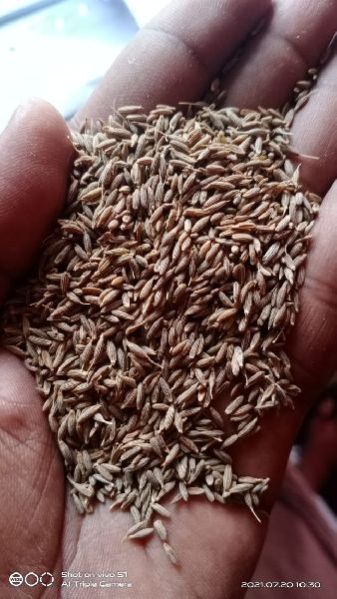 Best Quality Brown Cumin Seed