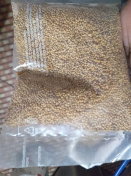 Foxtail Millets