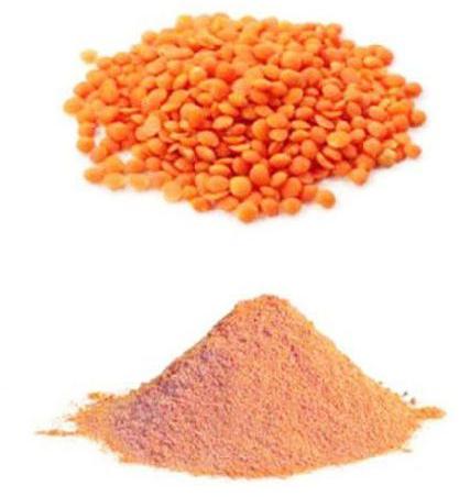 Masoor Powder, for Cattle Feed, Feature : Healthy To Eat, Nutritious
