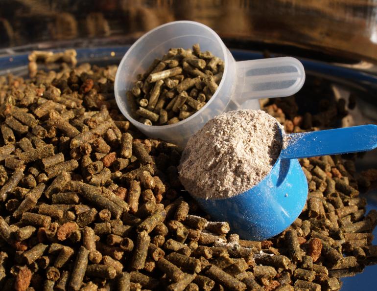 Equine Feed Supplement