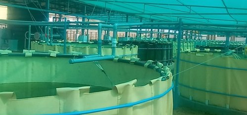Pvc Aquaculture Tank