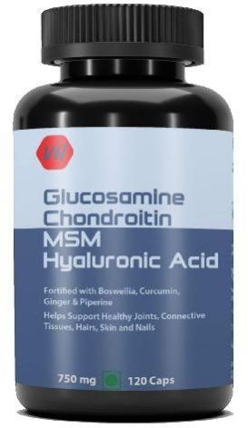 Glucosamine Chondroitin MSM + Hyaluronic Acid 120 Capsule