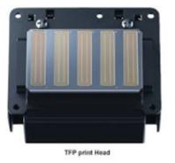 Electric TFP Print Head, Voltage : 220V