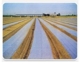 Soil Solarization Film