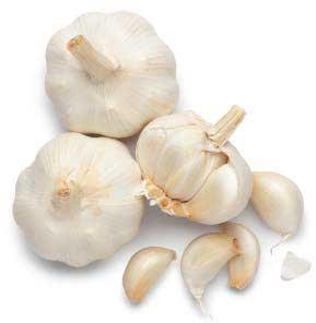 Natural fresh garlic, for Cooking, Fast Food, Feature : Dairy Free, Gluten Free