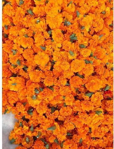 Loose Marigold Flowers