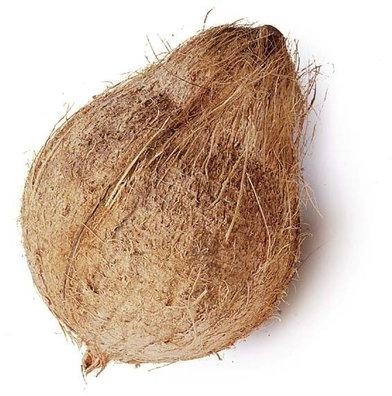 Natural Semi Husked Coconut, for Freshness, Good Taste, Healthy, Packaging Type : Gunny Bags