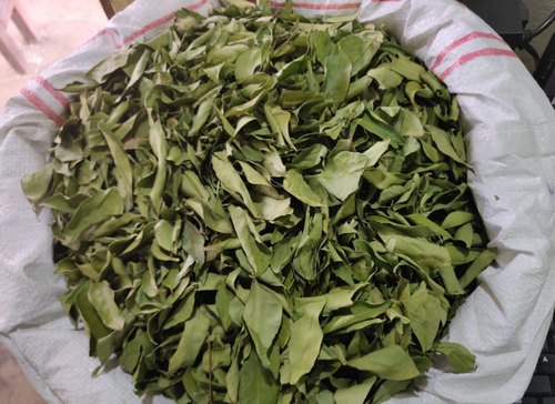 Dried Curry Leaves, for Cooking, Packaging Type : Plastic Bag