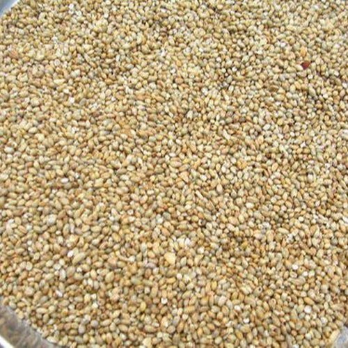 Millet Grains, Variety : Hybrid