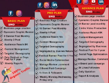 Social Media Marketing Service