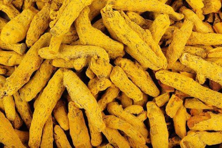 Ruca Raw Duggirala Turmeric, Form : Finger