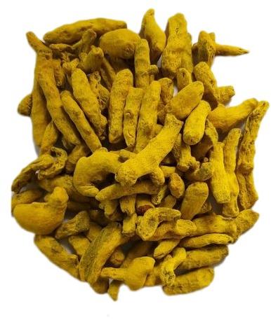 Erode Turmeric Fingers