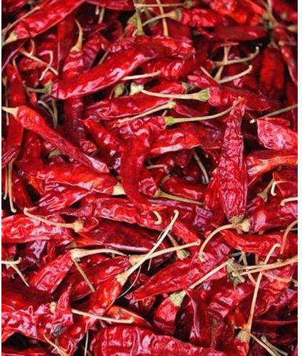 Guntur Dry Red Chilli (341)