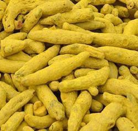 Ruca Rajapuri Turmeric, Form : Finger