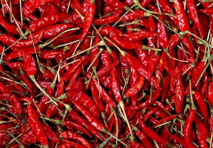 S 4/S 334 Sannam chilli, Color : Bright Red