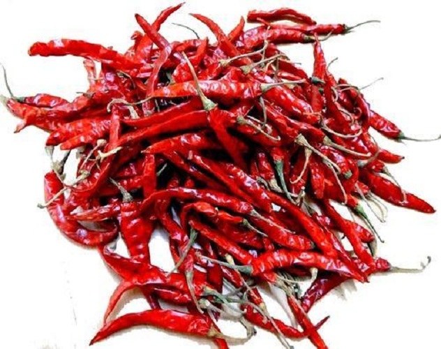 Teja S17 red chillies