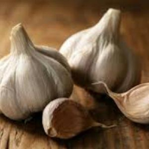 Yamuna Safed-5 (G-189) Garlic