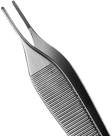Stainless Steel Tooth Forcep