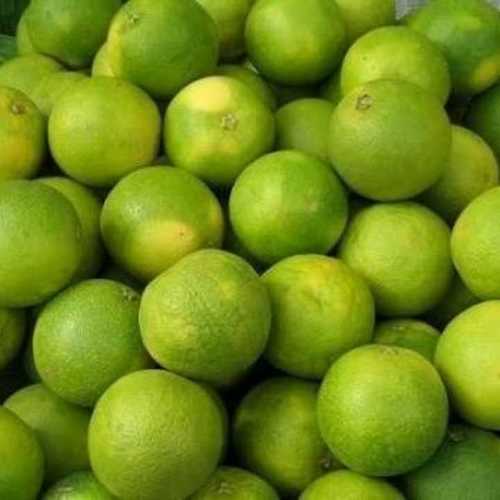 Round Organic Fresh Mosambi, for Drinks, Making Lemon Juice