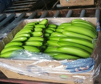 Source Banana