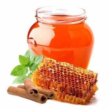 Tulsi Honey, Packaging Type : Bottle